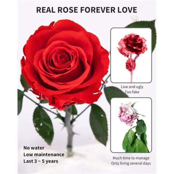 Flowers for Delivery Prime, Preserved Roses Flower Gifts for Women, Real Roses - Picture 3 of 7